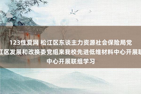 123性爱网 松江区东谈主力资源社会保险局党组与松江区发展和改换委党组来我校先进低维材料中心开展联组学习