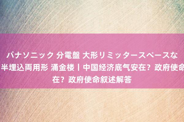 パナソニック 分電盤 大形リミッタースペースなし 露出・半埋込両用形 涌金楼丨中国经济底气安在？政府使命叙述解答