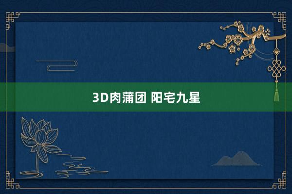 3D肉蒲团 阳宅九星